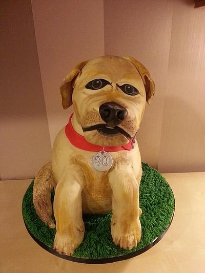 Puppy love! - Cake by lisa-marie green