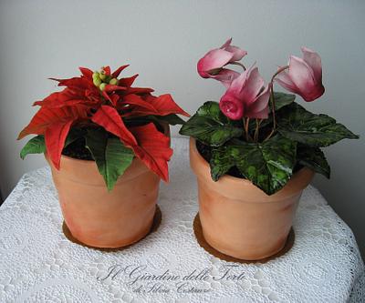 My flower pots - Cake by Silvia Costanzo