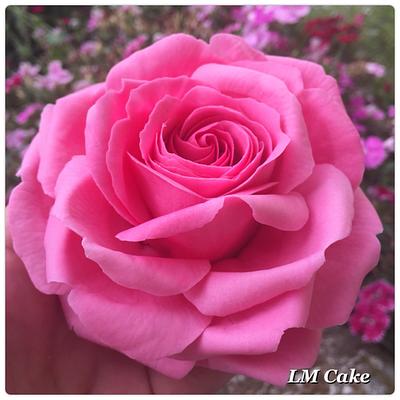 Pink Freeform Sugar Rose - Cake by Lisa Templeton