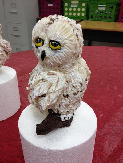 Modeling Chocolate Snowy Owl - Cake by Stacey Fruchey