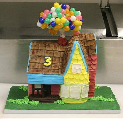 3D "Up" Cake - Cake by Heather
