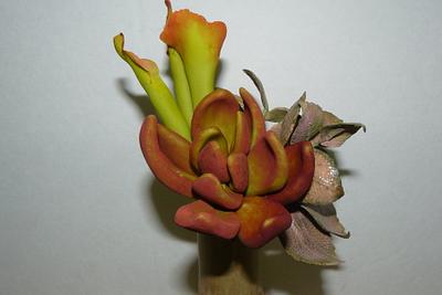 SUCCULENTS - Cake by gail