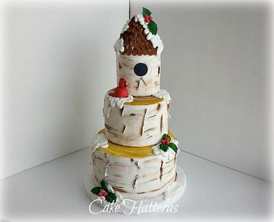 Winter Bird House - Cake by Donna Tokazowski- Cake Hatteras, Martinsburg WV