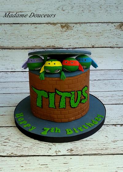 Ninja turtle cake - Cake by Madame Douceurs