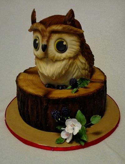 OWL2 - Cake by Anka