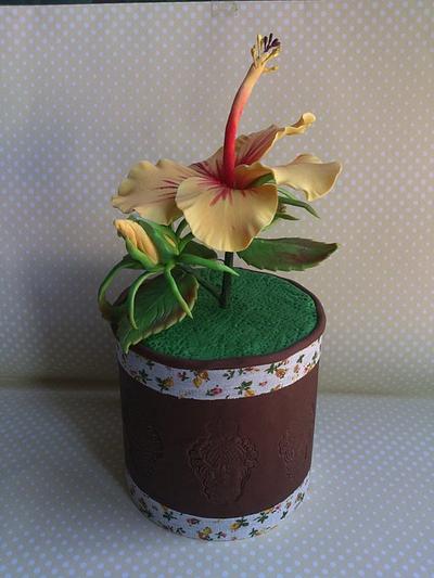 My first hibiscus flower  - Cake by CRISTINA