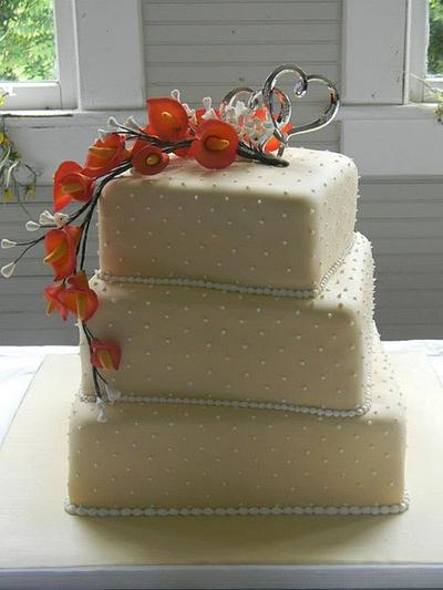 wedding cake - Cake by donnascakes