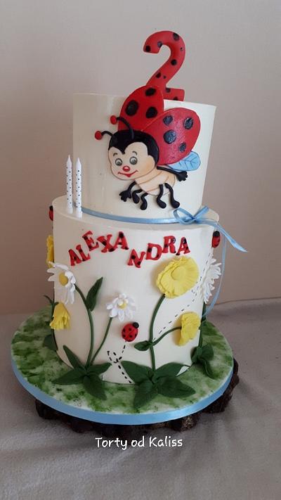 Birthday Ladybug - Cake by Kaliss