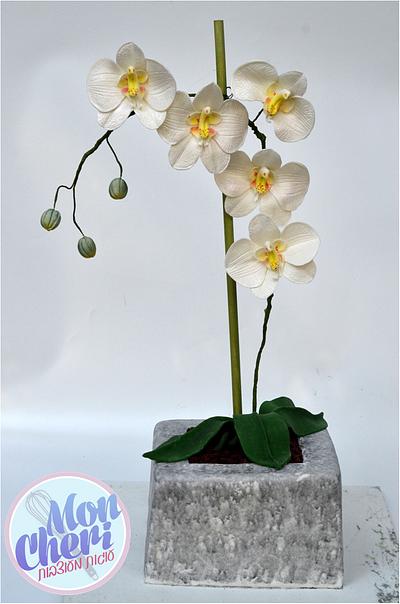 Orchids in a pot - Cake by Mon Cheri Cakes