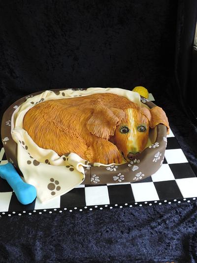 Honey the Dog - Cake by David Mason