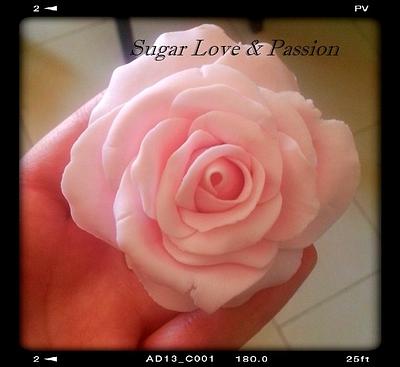 My First Large Rose - Cake by Mary Ciaramella (Sugar Love & Passion)