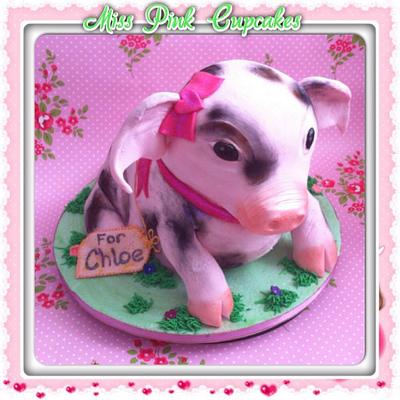Micro pig cake - Cake by Rachel Bosley 