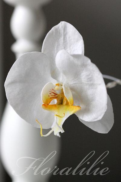 Wafer Paper Phalaenopsis Orchid - Cake by Floralilie