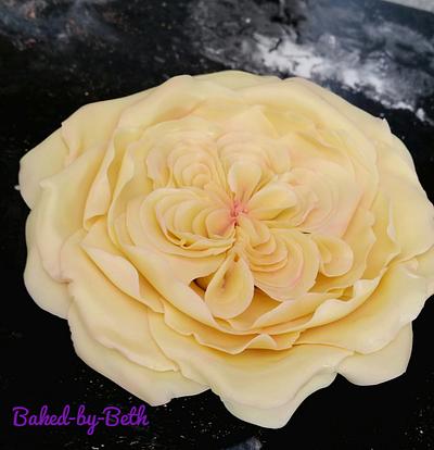 Pretty pastel rose - Cake by BakedbyBeth