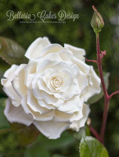 Big white roses - Cake by Bellaria Cake Design 