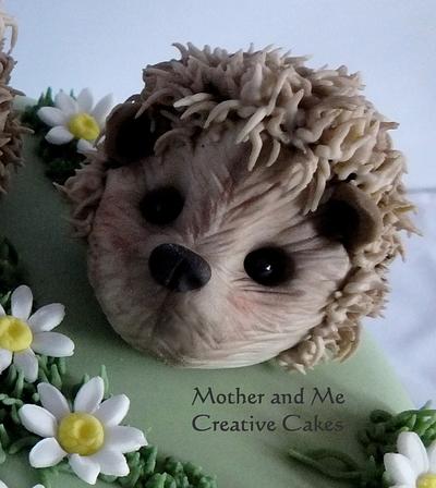 Hedgehogs and Daisies - Cake by Mother and Me Creative Cakes