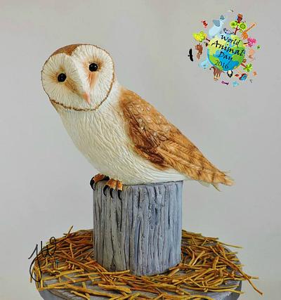  Barn Owl - World Animal Day Collaboration - Cake by Jeanne Winslow
