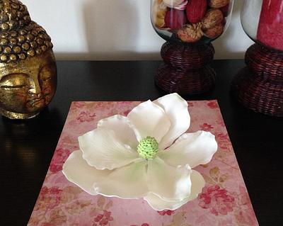 My first gumpaste magnolia (without cutters) - Cake by Little Apple Cakes