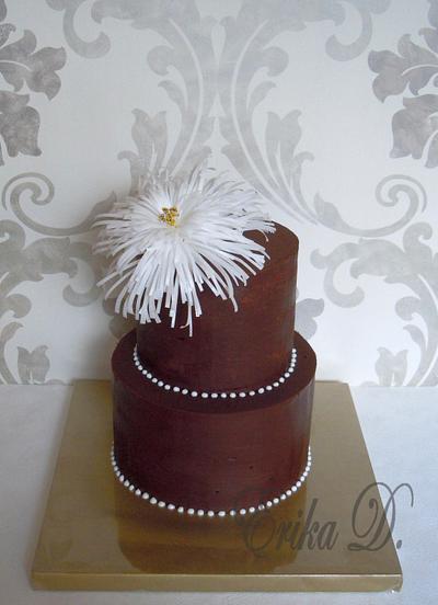 chocolate - Cake by Derika