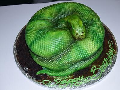 2nd attempt at Snake - Cake by BeckysSweets