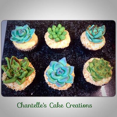 Succulants - Cake by Chantelle's Cake Creations