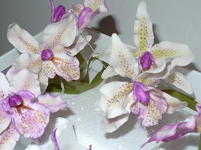 Fantasy orchids - Cake by Lucie