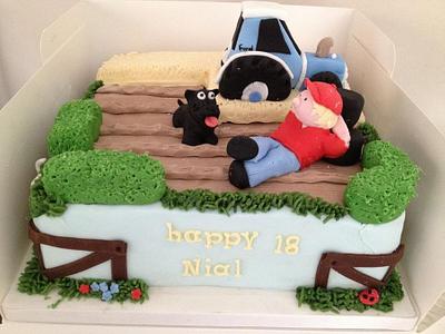 Farm Life - Cake by Lisa