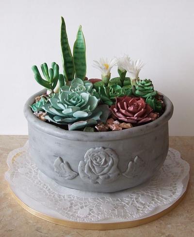 Succulent cake  - Cake by elgi