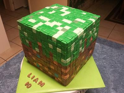 Minecraft Cake - Cake by Maria Felix Cakes