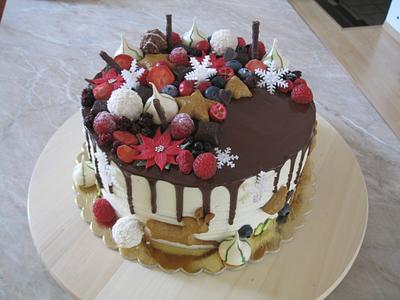 Winter birthday cake - Cake by cakebymartina