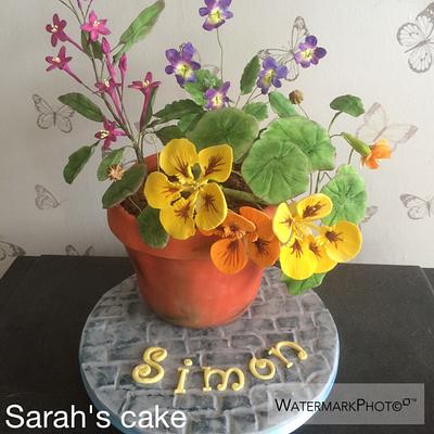 Flower Pot Cake - Cake by Sarah's cakes