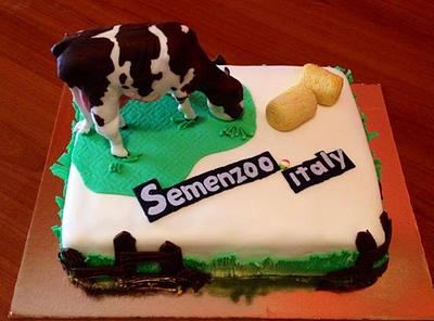 Semenzoo  - Cake by Monica Vollaro 