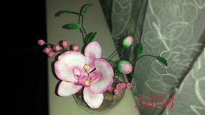 Phalaenopsis orchid - Cake by Benny's cakes