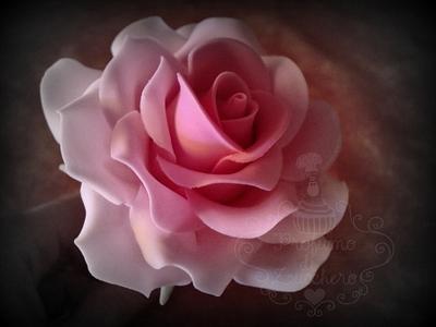 Soft Pink Rose - Cake by Sara Bargagna