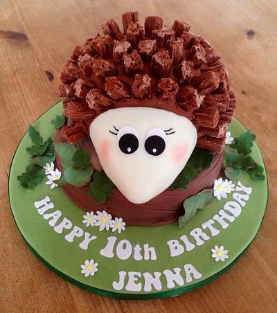 Hedgehog birthday cake!  - Cake by Cherry Delbridge
