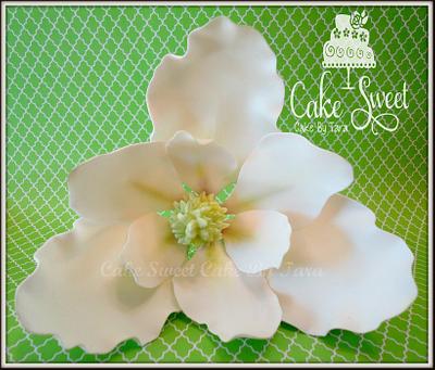 White southren Magnolia  - Cake by Cake Sweet Cake By Tara