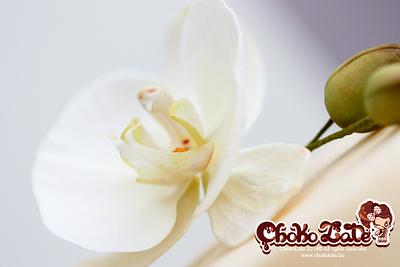 Moth Orchids - Cake by ChokoLate Designs