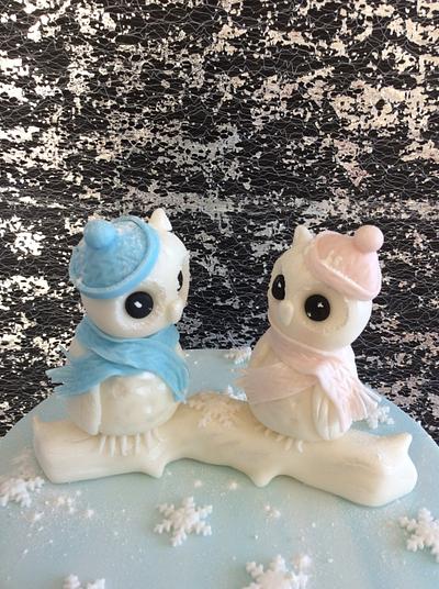 The snowy owlets  - Cake by Popsue