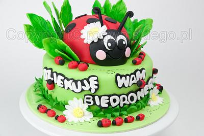 Ladybird Ladybug Cake /Tort z małymi biedroneczkami i jedną dużą biedronką :) - Cake by Edyta rogwojskiego.pl