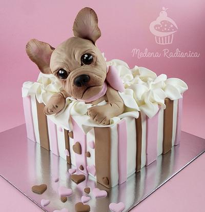 Dogy cake :) - Cake by MedenaRadionica