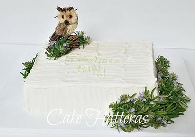 Owl Baby Shower - Cake by Donna Tokazowski- Cake Hatteras, Martinsburg WV