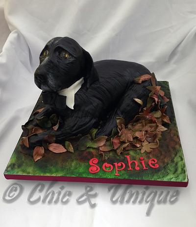 Pooch - Cake by Sharon Young