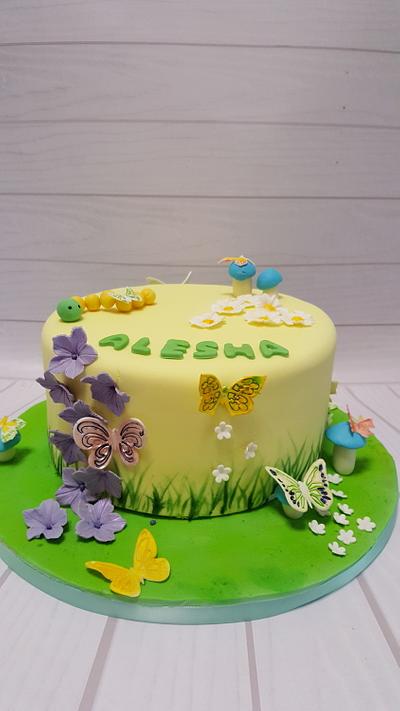 Butterfly cake  - Cake by lorna hynes