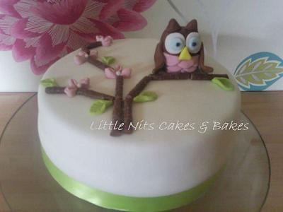 Owl cake - Cake by Anita's Cakes & Bakes