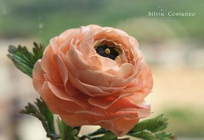 Ranunculus Flower - Cake by Silvia Costanzo