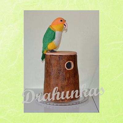 Amazon parrot - Cake by Drahunkas