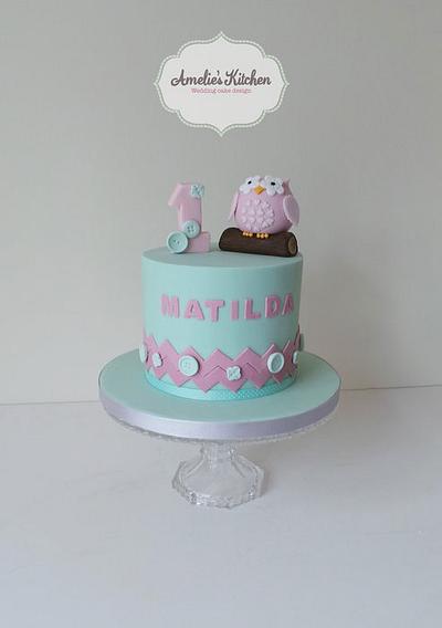Baby owl 1st birthday cake - Cake by Helen Ward