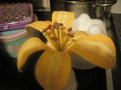 orange Lily - Cake by ladyfaeuk