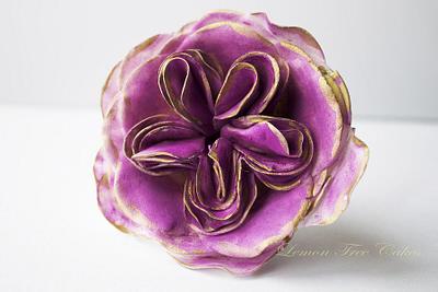 Cabbage rose - Cake by pamz