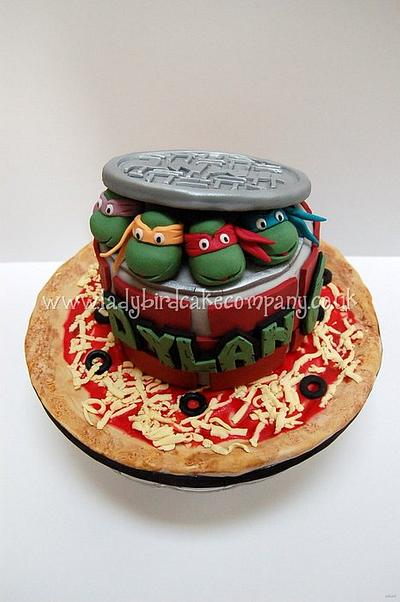 Cowabunga! Teenage Mutant Ninja Turtle cake - Cake by Liz, Ladybird Cake Company